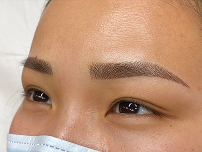 Microblading + Shading