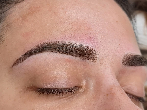 Microshading, Microblading, Eye Designer, PhiBrows, Microblading + shading, PhiShading