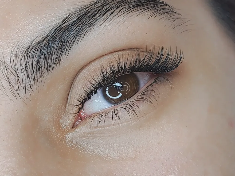 Extensions de Cils Classiques, Extensions de Cils, Extensions, de Cils, Extension de Cils, Eye Designer, Dlux Professional